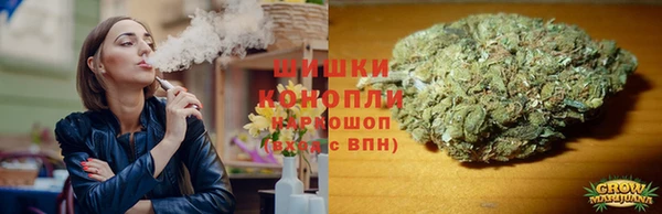 крисы Грязовец
