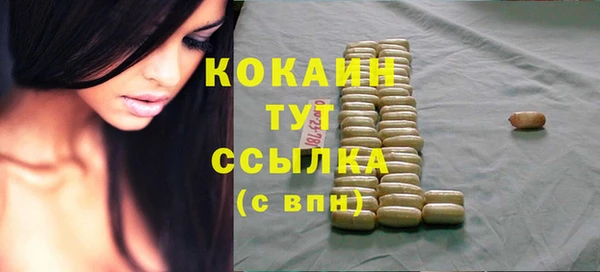 эйфоретик Губаха