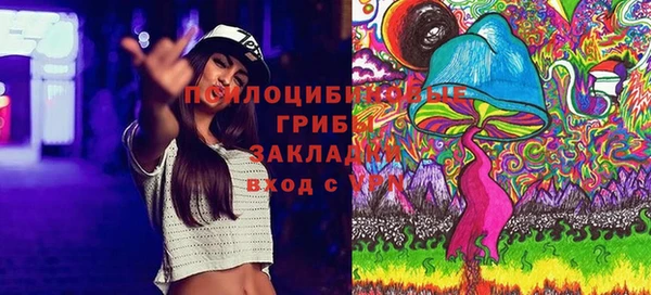 дживик Нязепетровск