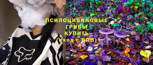 эйфоретик Губаха