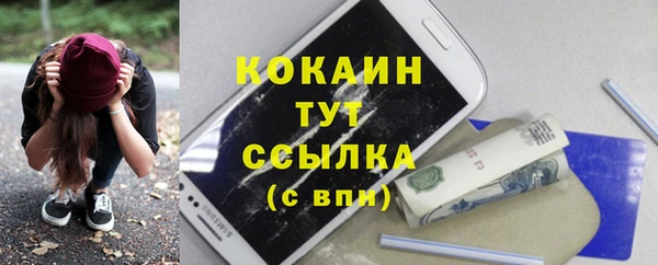 крисы Грязовец
