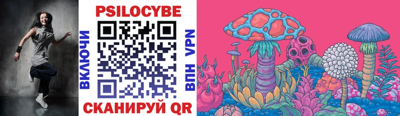 Псилоцибиновые грибы Cubensis  сайты даркнета телеграм  Покров  наркошоп  гидра онион 
